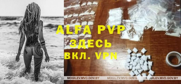 прущие грибы Бугульма