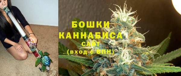 дурь Богородск