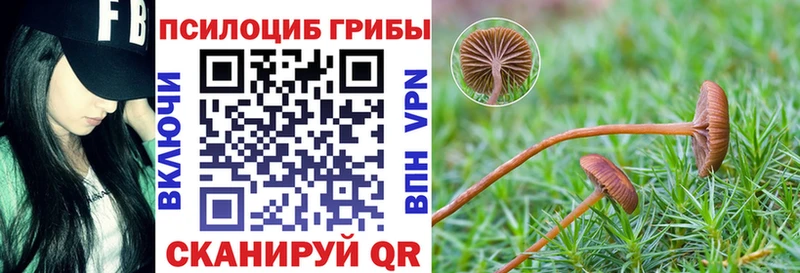 блэк спрут ССЫЛКА  Каменка  Псилоцибиновые грибы мухоморы  закладка 